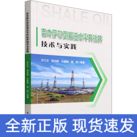 吉木萨尔页岩油水平井钻井技术与实践