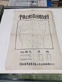 1967年，东光于集手绘农田图