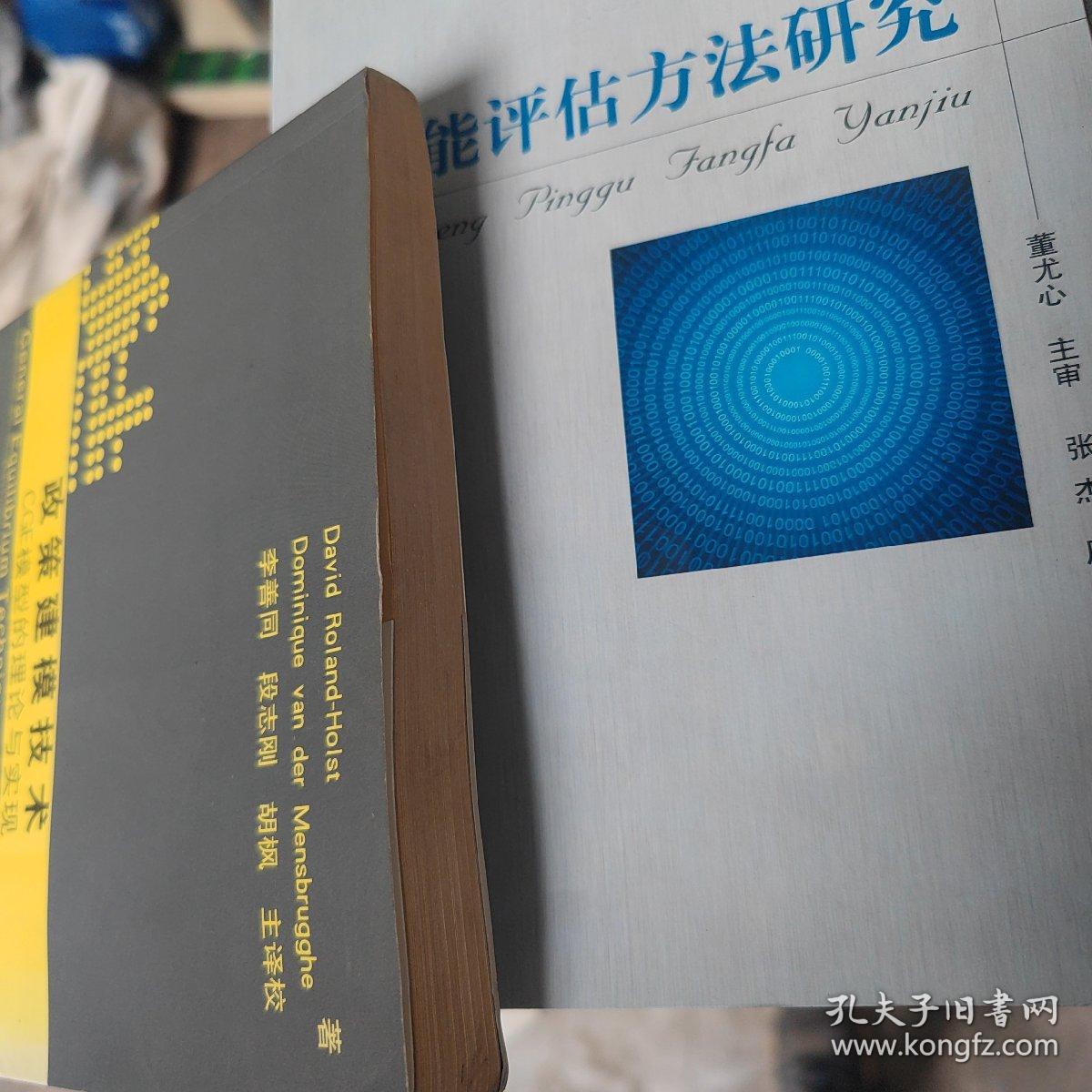 政策建模技术：CGE模型的理论与实现