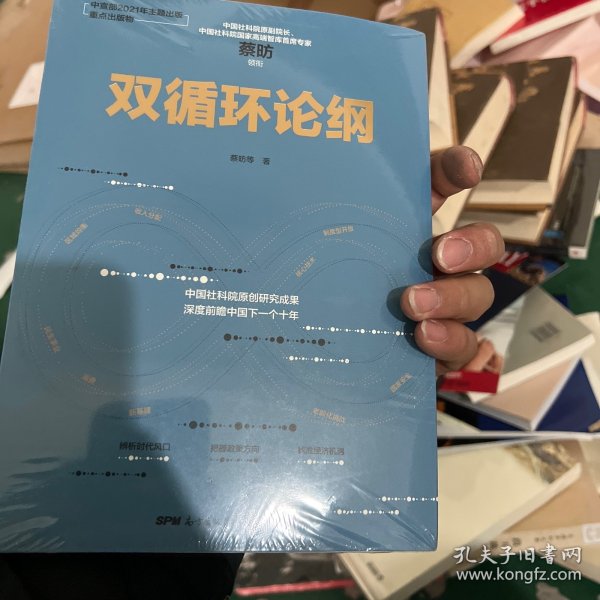 双循环论纲（中国社科院原创研究成果，深度前瞻中国下一个十年，变革来临时，抓住中国经济未来的十个关键答案）