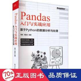 Pandas入门与实战应用 ：基于Python的数据分析与处理