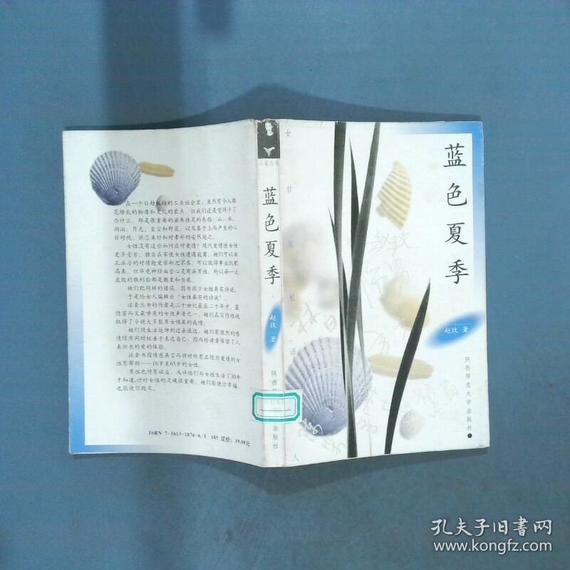 蓝色夏季  赵玫  著 陕西师范大学出版社