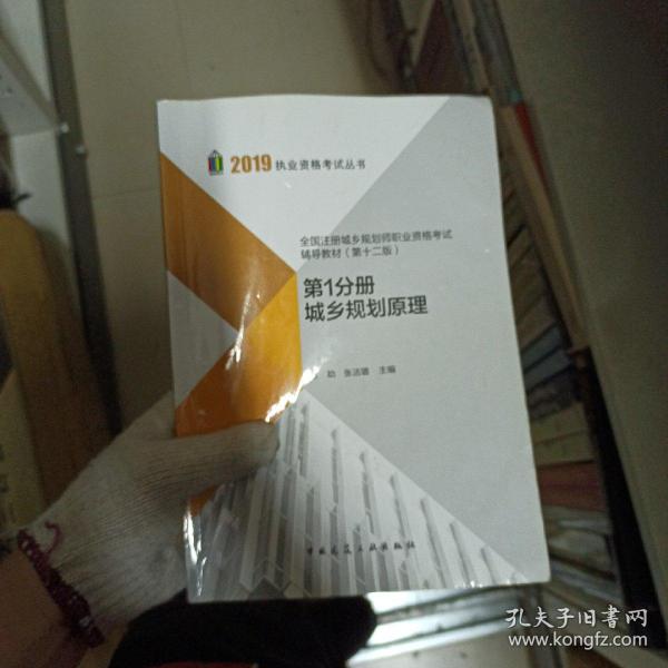 2019年全国注册城乡规划师职业资格考试辅导教材(第十二版) 第1分册 城乡规划原理