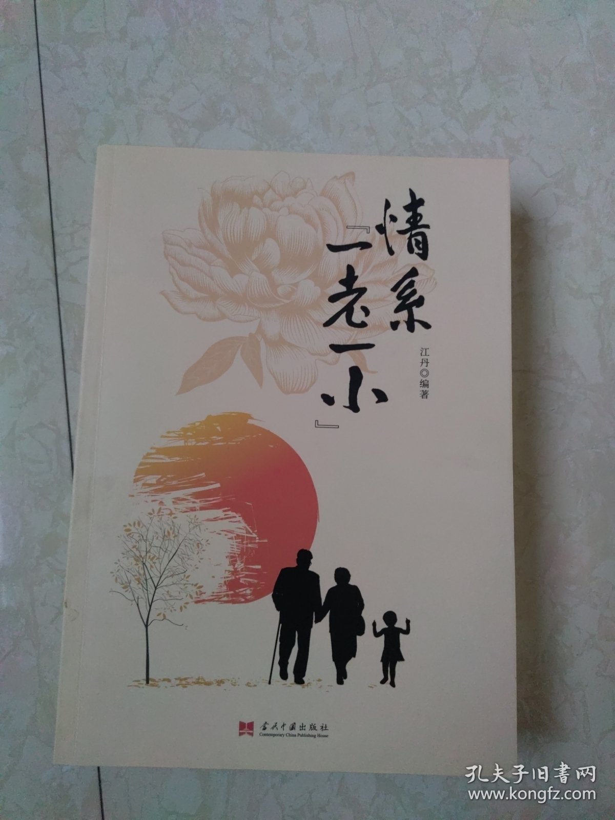 情系“一老一小”（平装）