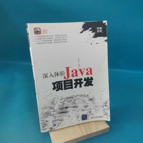 深入体验Java项目开发