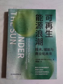 可再生能源浪潮：技术、储能与商业化未来（聚焦以色列新能源技术发展先进经验，从能源