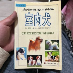 宠物喂养与训练：室内犬