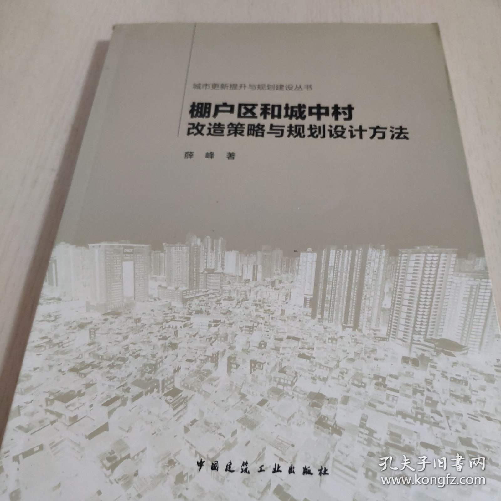 城市更新提升与规划建设丛书：棚户区和城中村改造策略与规划设计方法