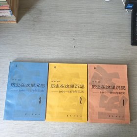 历史在这里沉思 1966-1976年记实