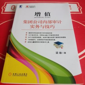 增值：集团公司内部审计实务与技巧