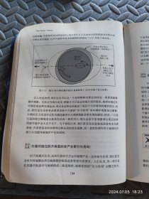 终极理论