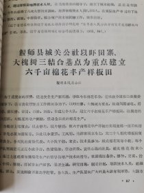 补图…老种子传统农业原始资料收藏（45）《基点工作》（2）（鄂川滇藏）60-299：云南省保山专区《样板田科学实验主要成果（摘要）》（1964—1965）：《六点四九亩“台北八号“水权试验田》，昌宁县9.58亩旱地玉米，保山县鹭江区街道公社，保山板桥中心样板田，施甸县保场公社万亩水稻样板，保山坝2000亩小麦样板，昌宁县大塘公社1830亩棉花样板，龙陵县勐冒地区改造低产田样板，明德公社旱地玉米