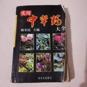 实用中草药大全