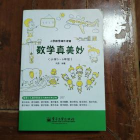 小学数学课外读物：数学真美妙（小学5～6年级）（包正版）