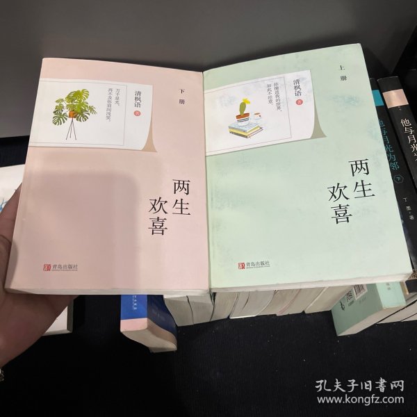 两生欢喜（上下）