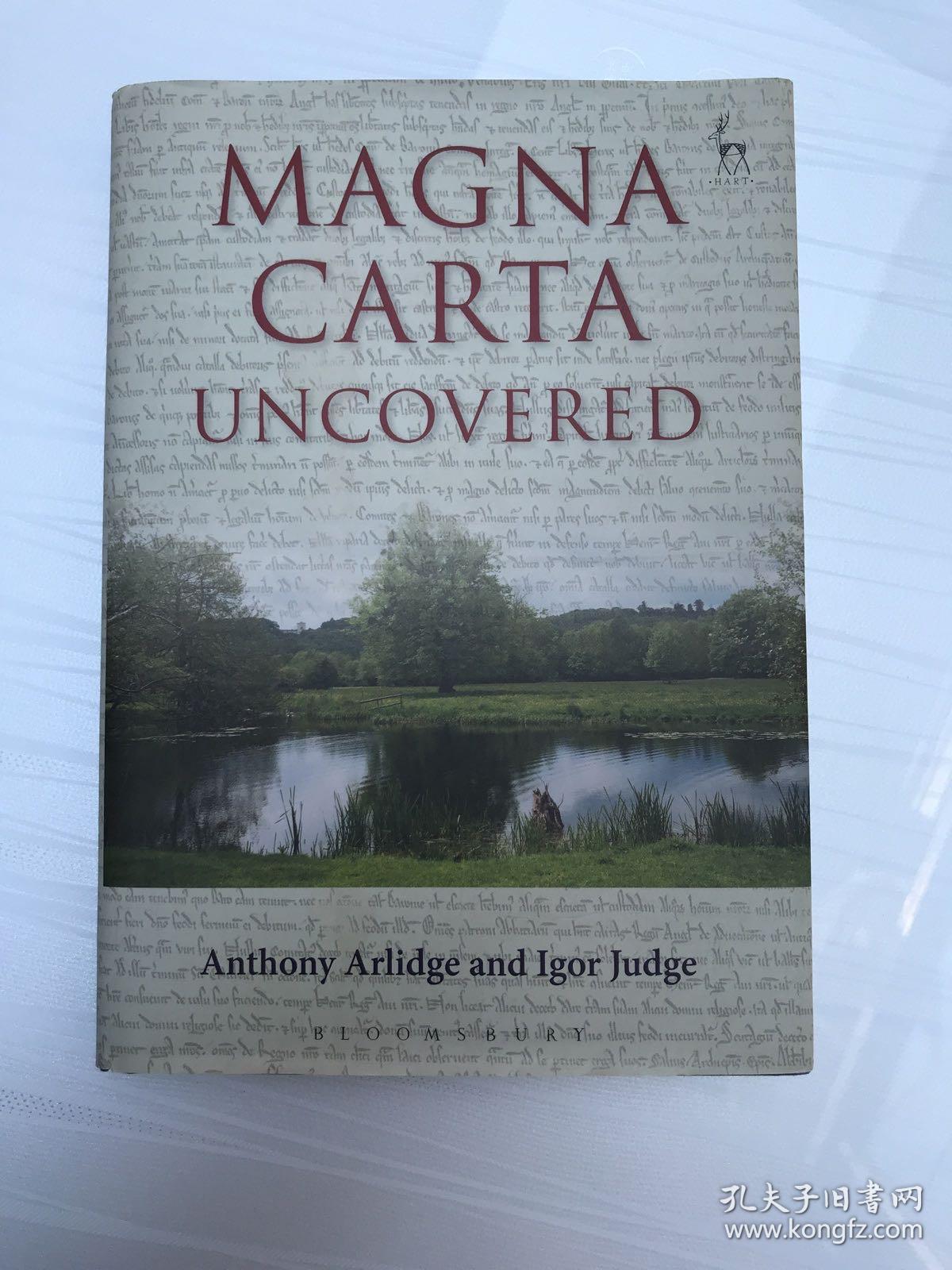 Magna Carta Uncovered