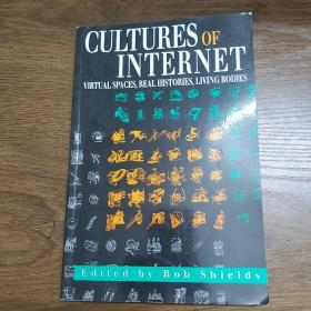 Cultures of Internet: Virtual Spaces, Real Histories, Living Bodies《互联网文化: 虚拟的空间，真实的历史，鲜活的个体》
