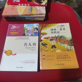 汤姆索亚历险记 快乐读书吧六年级下册小学生语文拓展儿童文学阅读故事书 图文导读版 凤凰新华小学6年级下必正版读物名著课外书