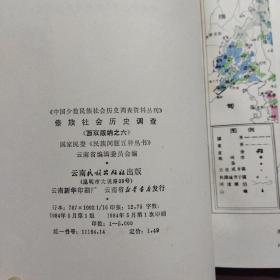 傣族社会历史调查（西双版纳之六）