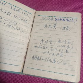 日记本 1960年