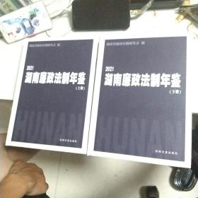 2021湖南廉政法制年鉴上下册(无笔记)
