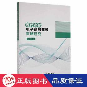 现代农村电子建设策略研究 电子商务 罗应机 新华正版