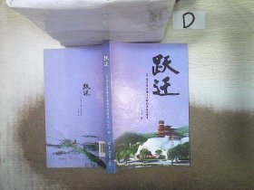 跃迁：一个汶川灾区援建干部的亲历与思考