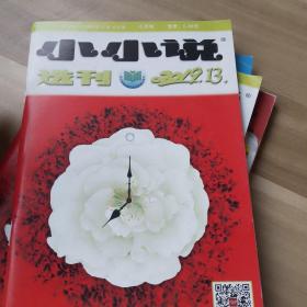 小小说   选刊