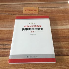 中华人民共和国民事诉讼法精解