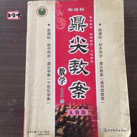 鼎尖教案：数学（八年级下）（人教版新课标）