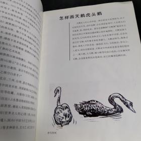 怎样画天鹅虎头鹅——自学美术丛书动物篇《六》