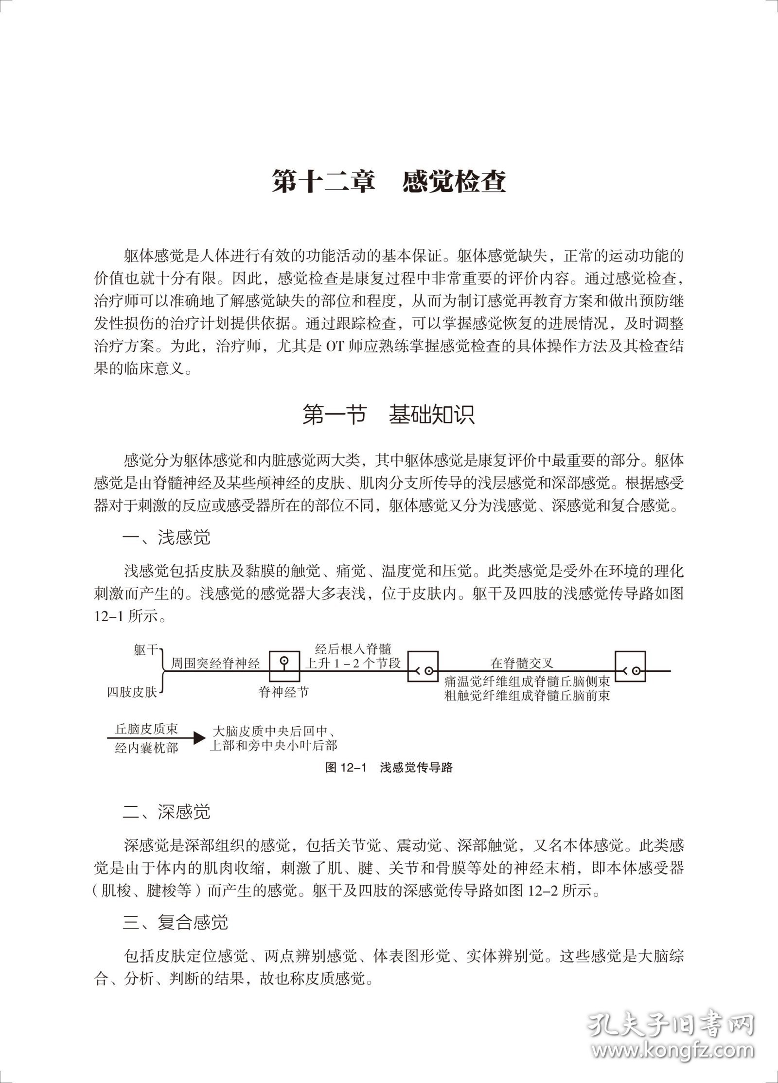 运动疗法与作业疗法（第二版）