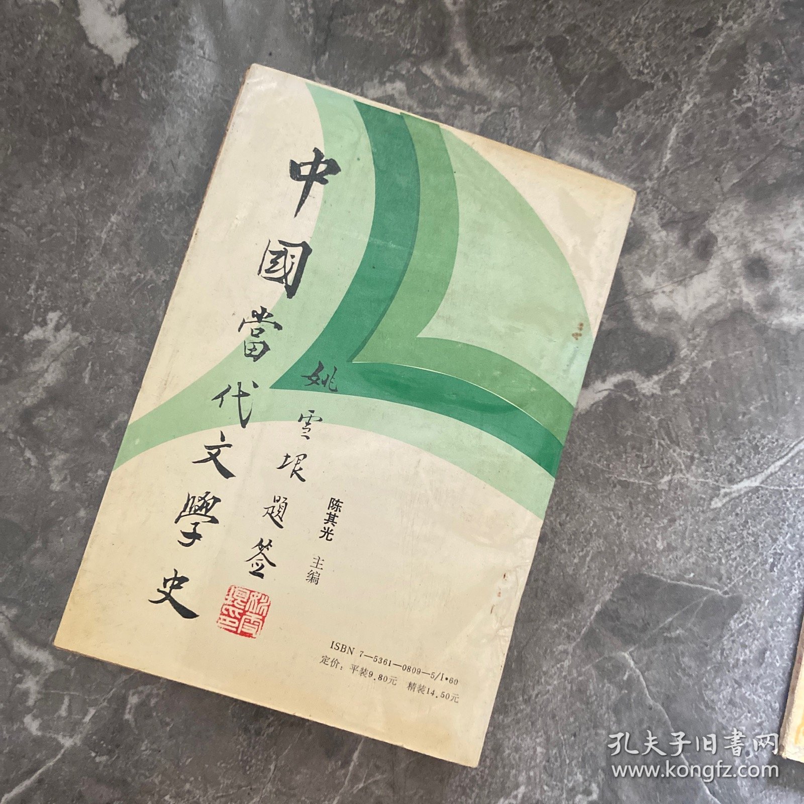 中国当代文学史
