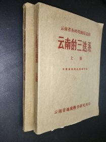 云南的三迭系 上下冊(cè)