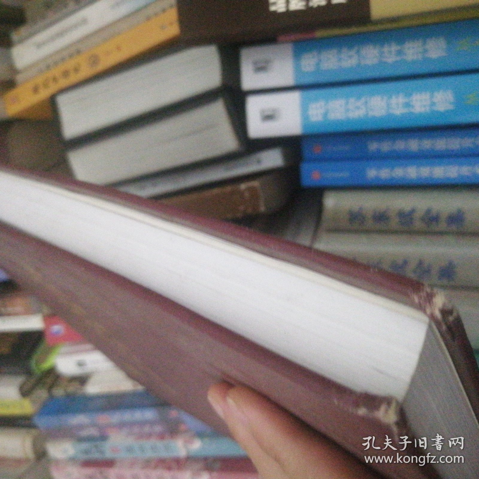 四川雪宝顶自然保护区综合科学考察报告（大16开精装） D1