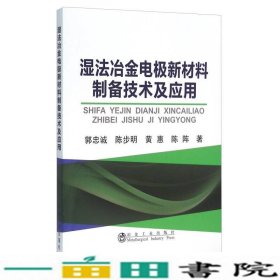 湿法冶金电极新材料制备技术及应用?9787502471781