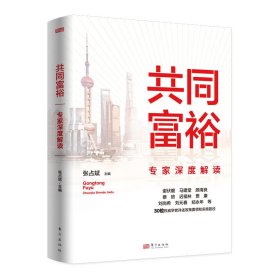 共同富裕专家深度解读
