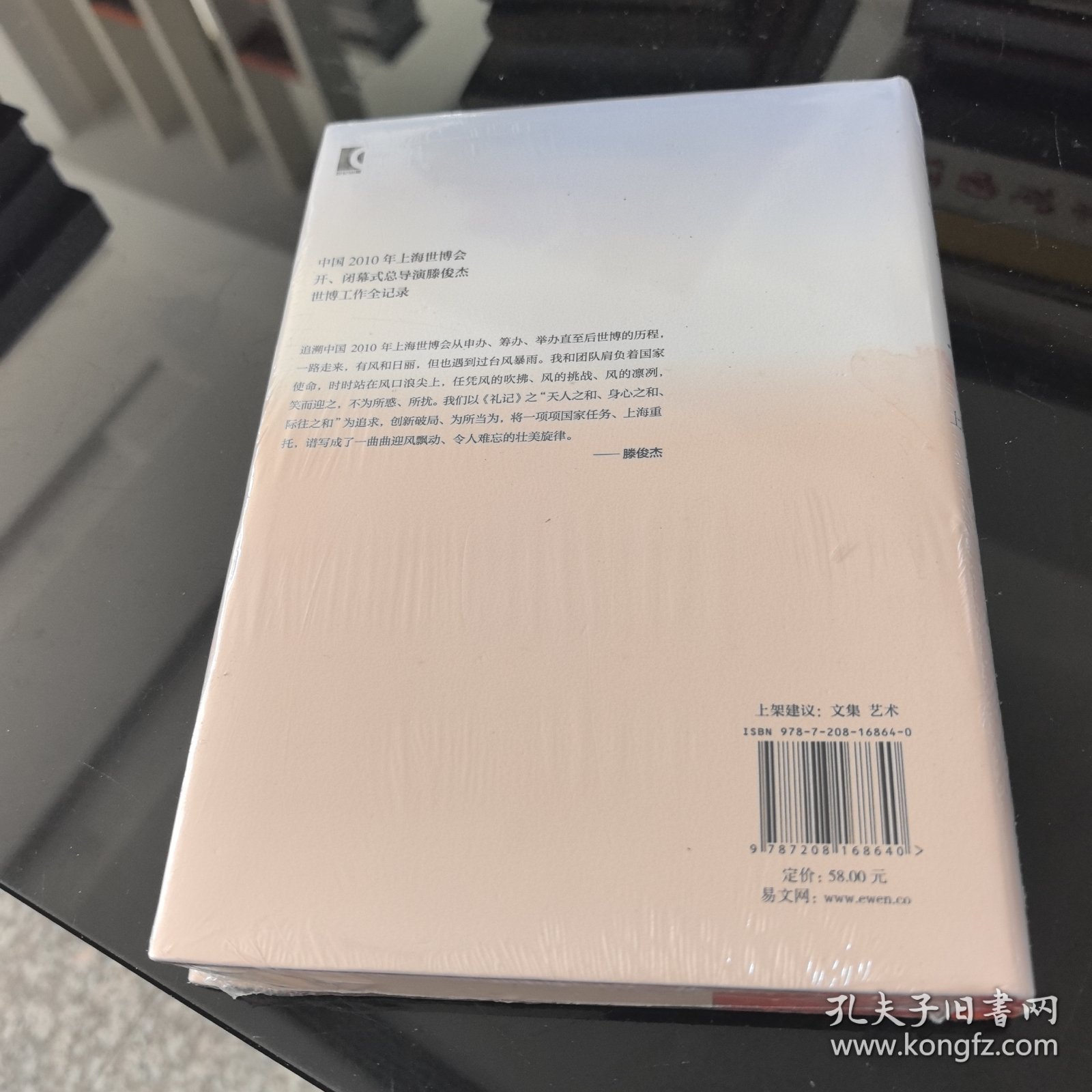 迎风而立--滕俊杰上海世博会文选集