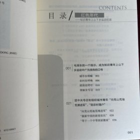 红色年代丛书/人民公社化运动纪实+知识青年上山下乡纪实+三反五反运动纪实+大跃进运动纪实