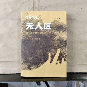 1918无人区——第一次世界大战后的一年