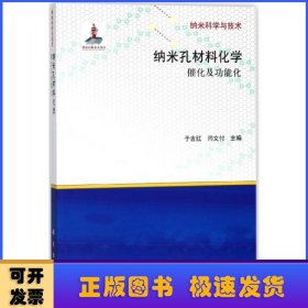 纳米孔材料化学：催化及功能化