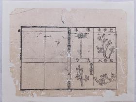 芥子园.本草纲目•木部灌木图.清朝木刻本古籍留珍一页.传统手工托裱.尺寸23.5x17.5cm(不含命纸).老.破.残.完美主义者慎拍。图文并茂 可装镜框装饰书房，可赠送亲朋，增添文化品位；古书爱好者还可以做成留真谱欣赏！ 港澳台不发货·多件合并邮资.（非偏远地区两件及以上:满300元普通快递包邮；满500元顺丰快递包邮）
