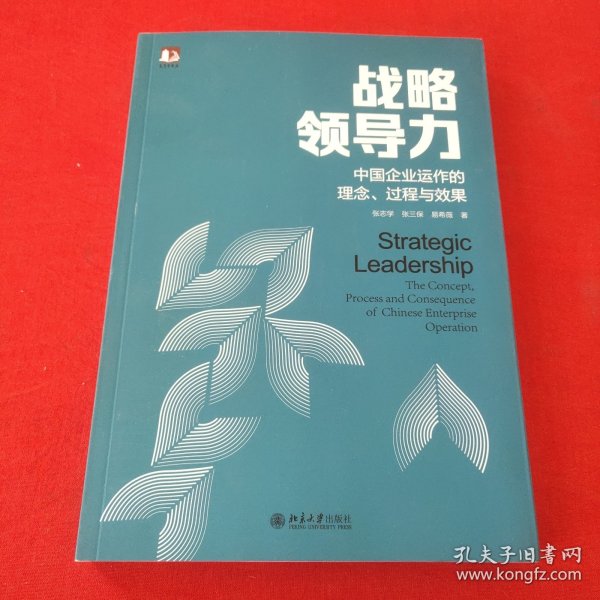 战略领导力：中国企业运作的理念、过程与效果