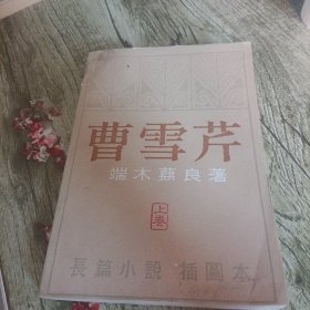 长篇小说插图本《曹雪芹》上 单本
