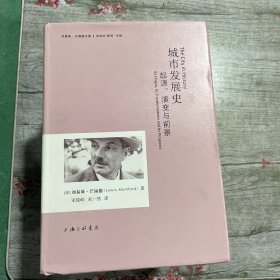 城市发展史：起源、演变与前景  内页全新 封面均瑕疵破损点 看图