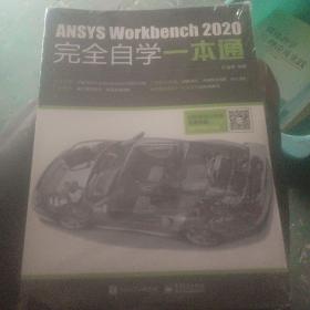 ANSYSWorkbench2020完全自学一本通