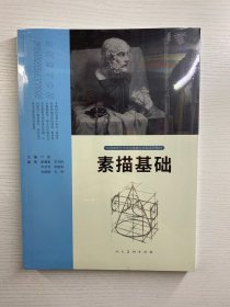 中国高校艺术专业技能与实践系列教材：素描基础（正版·全新未拆封）