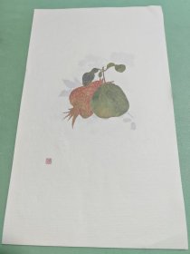 画册
