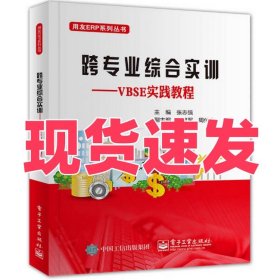 跨专业综合实训――VBSE实践教程