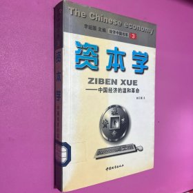 资本学:中国经济的温和革命